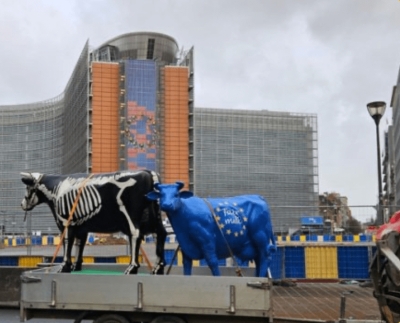 European farmers unite in Brussels showdown against EU’s “draconian” environmental policies
